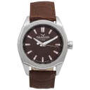 Brown/Silver