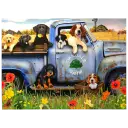 Dog Day Afternoon (1000 piece)