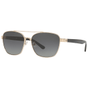 Shiny Gold Frames / Grey Gradient Lenses