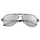 Brown/Silver