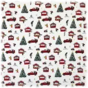 Celebrating Christmas