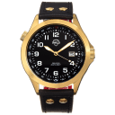 Gold/Black