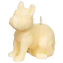 Frenchie in Cream