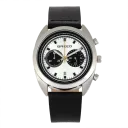 Silver/Black