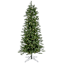 Balsam Fir features a 28" Diameter Base