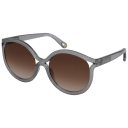 Frame & Lenses: Grey/Brown