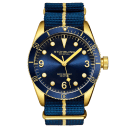 Blue-Gold