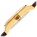 Brown/Gold