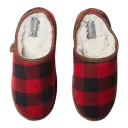 Buffalo Check