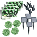Green 4-Pack