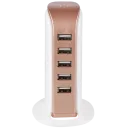 White/Rose Gold