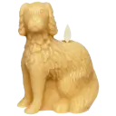 Staffordshire Spaniel in Gold