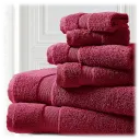 Raspberry Radiance