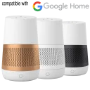 Google Home Not Included