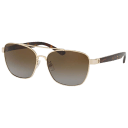 Shiny Gold Frames / Brown Gradient Lenses