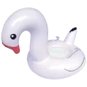 Swan