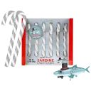 Sardine