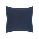 Euro - Blue