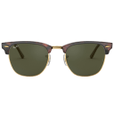Tortoise 51mm