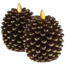 Brown Pine Cone