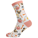Cats n Dogs