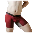 Trunks (No Fly)