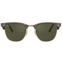 Tortoise 49mm
