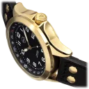 Gold/Black
