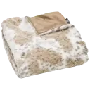 Snow Leopard