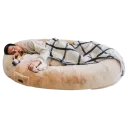 Biscuit