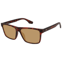 Matte Tortoise/Black, 143F