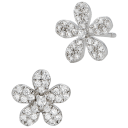 Rhodium