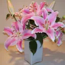  Available in three colors