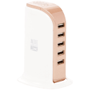 White/Rose Gold
