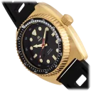 Gold/Black