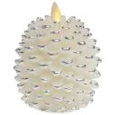 Silver Pinecone