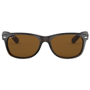Polarized Tortoise