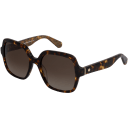 Havana Rose Gold with Brown Gradient