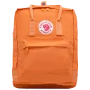 Burnt Orange