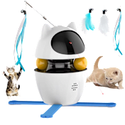 The 4-in-1 Interactive Cat Toy
