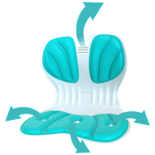 The Posture Supporting Lumbar Seat