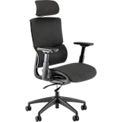 Align High Back Ergonomic Office Chair with Lumbar Support