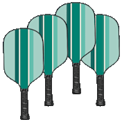 Paquete de 4: Palas de Pickleball de Doble Cara Jill & Ally