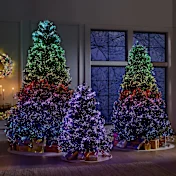 The Northern Lights Tree