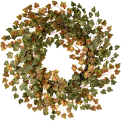 National Tree Company 24" Green Ivy Harvest Wreath