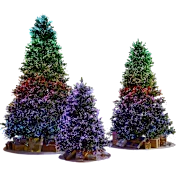 The Northern Lights Tree