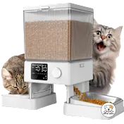 The Dual-Bowl Automatic Cat Feeder