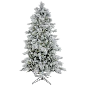 The Slim Snow-Covered Pine With Color-Changing Lights