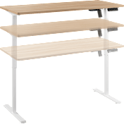 Energize 55W x 24D Electric Height Adjustable Standing Desk