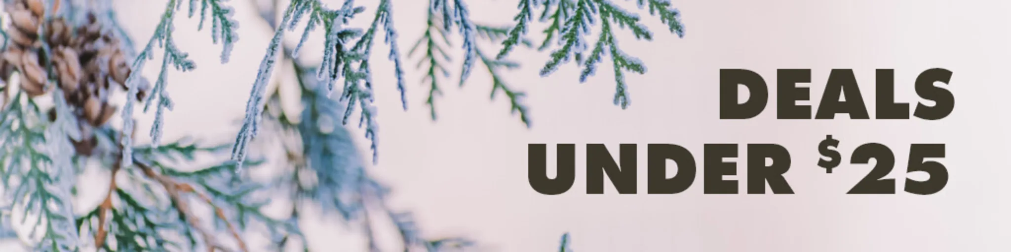 Deals Under $20 banner